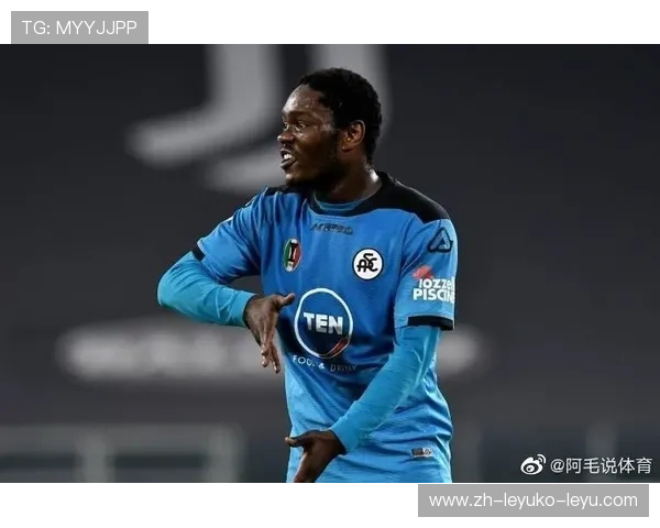 正在出售或寻求资本重组的意甲俱乐部名单