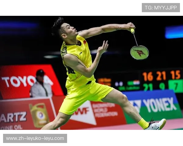 羽毛球扣杀视频林丹